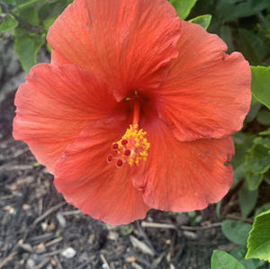 Meet your Posher, Meg